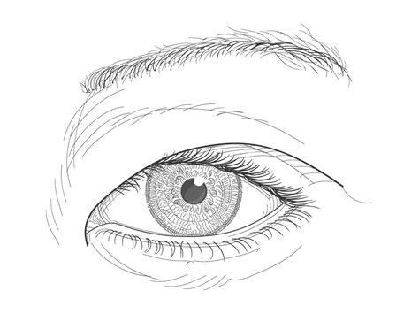 El ojo y las razas humanas - Blog de Ojos - Innova Ocular: Aprender a Dibujar Fácil, dibujos de Ojos Rasgados, como dibujar Ojos Rasgados paso a paso para colorear