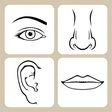 ᐈ Ojos nariz y boca para colorear imágenes de stock: Dibujar y Colorear Fácil, dibujos de Ojos Y Boca, como dibujar Ojos Y Boca para colorear