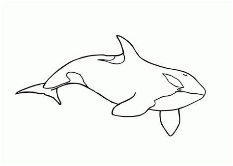 Dibujos de orcas para colorear :: Imágenes y fotos: Dibujar y Colorear Fácil con este Paso a Paso, dibujos de Orcas, como dibujar Orcas para colorear e imprimir