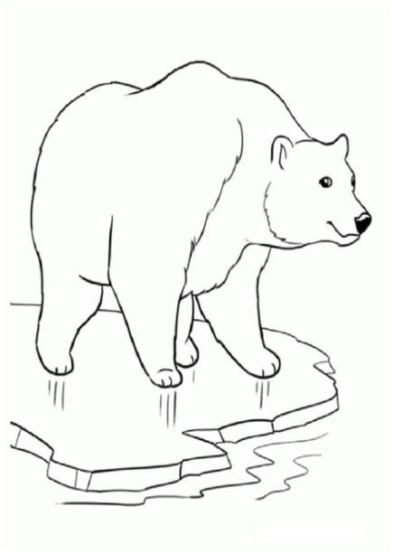 dibujos osos polares para colorear - Dibujosparacolorear.eu: Dibujar y Colorear Fácil con este Paso a Paso, dibujos de Oso Polar, como dibujar Oso Polar para colorear e imprimir