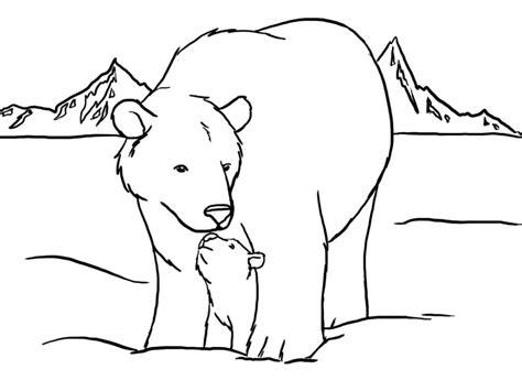 Oso polar para colorear :: Imágenes y fotos: Dibujar y Colorear Fácil con este Paso a Paso, dibujos de Oso Polar, como dibujar Oso Polar para colorear
