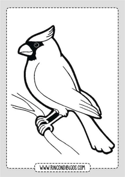 Dibujos de Pájaros para colorear | Imprimir y Colorear: Aprende a Dibujar y Colorear Fácil, dibujos de Pajaritos, como dibujar Pajaritos para colorear