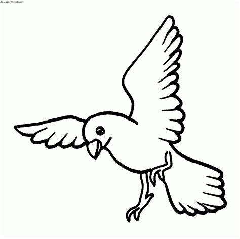 Dibujos Sin Colorear: Dibujos de Pájaros para Colorear: Dibujar y Colorear Fácil, dibujos de Pájaros Volando, como dibujar Pájaros Volando paso a paso para colorear