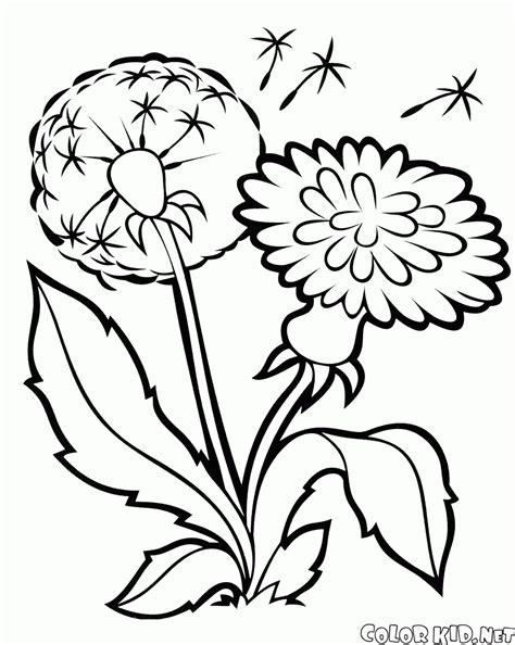 Dibujo para colorear - Flores: Dibujar Fácil con este Paso a Paso, dibujos de Paso Flores, como dibujar Paso Flores para colorear