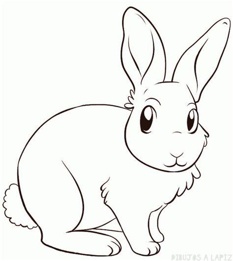 ᐈ Dibujos de Conejos【TOP】Conejos para colorear: Dibujar Fácil, dibujos de Paso Un Conejo, como dibujar Paso Un Conejo para colorear e imprimir