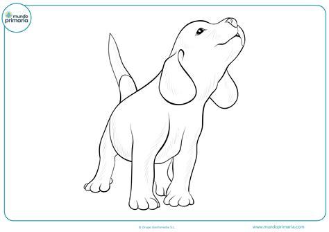 Dibujos de Perros para Colorear (A Lápiz y Fáciles): Aprender a Dibujar Fácil con este Paso a Paso, dibujos de Paso Un Perro, como dibujar Paso Un Perro para colorear