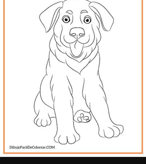 🐶Dibujos de Perros Fácil Para Colorear 🎨: Dibujar Fácil con este Paso a Paso, dibujos de Pasos De Un Perro, como dibujar Pasos De Un Perro para colorear