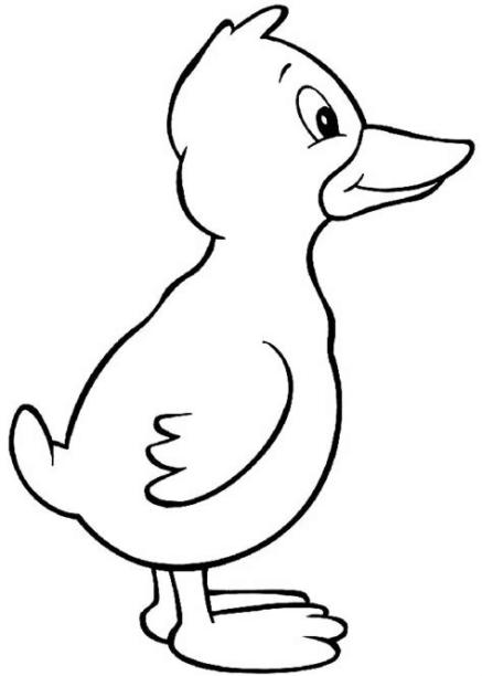 Pato para colorear: Aprender como Dibujar y Colorear Fácil con este Paso a Paso, dibujos de Pato, como dibujar Pato paso a paso para colorear