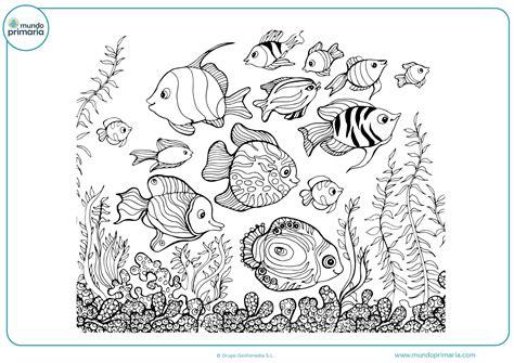 Dibujos de Peces para Colorear (Imprimir Gratis): Aprender como Dibujar y Colorear Fácil, dibujos de Peces Pequeños, como dibujar Peces Pequeños para colorear