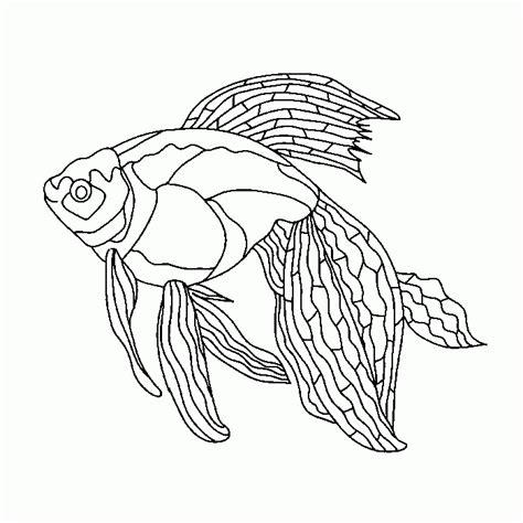 Dibujos de peces tropicales para colorear :: Imágenes y fotos: Dibujar Fácil con este Paso a Paso, dibujos de Peces Tropicales, como dibujar Peces Tropicales para colorear