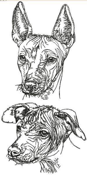 Mexican Hairless Dog (Xoloitzcuintle) Set | Mexican: Dibujar Fácil con este Paso a Paso, dibujos de Pelaje De Perro, como dibujar Pelaje De Perro para colorear