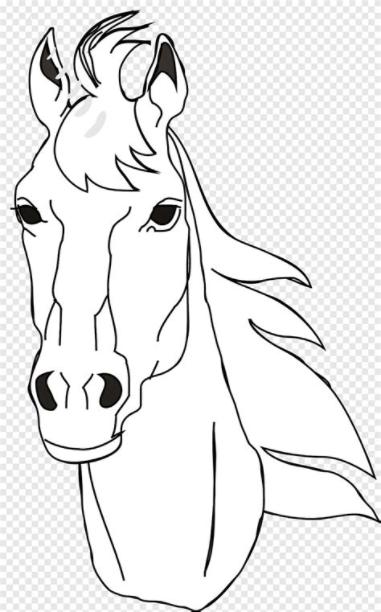 Libro para colorear cabeza de caballo máscara australiana: Aprender como Dibujar y Colorear Fácil, dibujos de Pelo De Caballo, como dibujar Pelo De Caballo para colorear