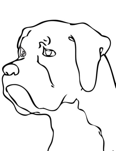 Perro para colorear. pintar e imprimir: Dibujar y Colorear Fácil, dibujos de Pelo De Perro, como dibujar Pelo De Perro para colorear