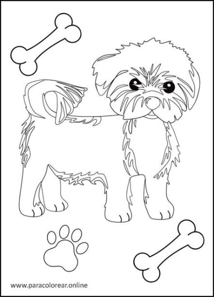 Los mejores Dibujos de Perros para Colorear Imprimir y: Aprende como Dibujar y Colorear Fácil con este Paso a Paso, dibujos de Perros Pequeños, como dibujar Perros Pequeños para colorear