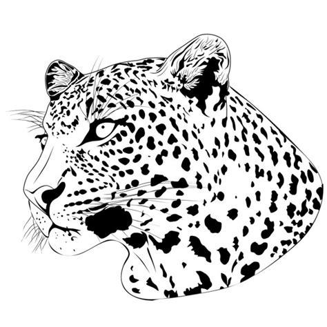 Dibujo de jaguar Imágenes Vectoriales. Ilustraciones: Dibujar Fácil, dibujos de Piel De Leopardo, como dibujar Piel De Leopardo para colorear