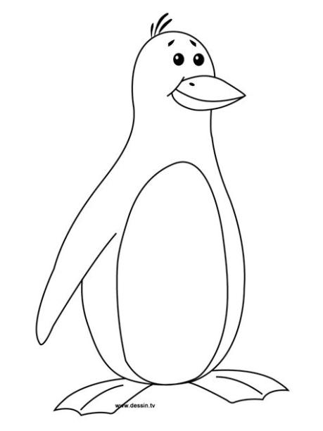 Pingüino (Animales) – Colorear dibujos gratis: Aprender como Dibujar y Colorear Fácil, dibujos de Pinguino, como dibujar Pinguino para colorear e imprimir