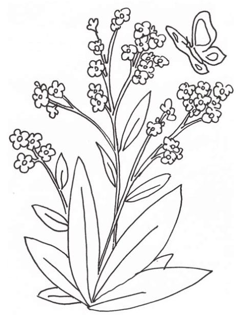 Plantas para colorear.: Aprende a Dibujar Fácil con este Paso a Paso, dibujos de Planta, como dibujar Planta para colorear e imprimir