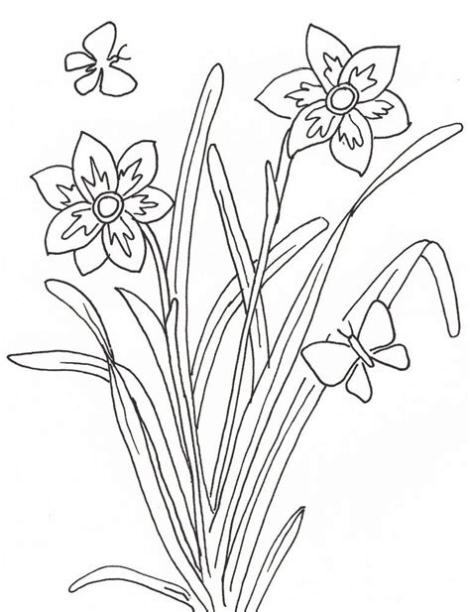 Pin en Coloring Page: Aprender a Dibujar Fácil, dibujos de Planta, como dibujar Planta para colorear