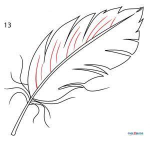 Plumas para dibujar | Cool2bKids: Dibujar y Colorear Fácil con este Paso a Paso, dibujos de Plumas En Las Uñas, como dibujar Plumas En Las Uñas para colorear