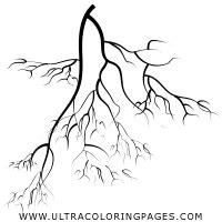 Dibujo De Raíces Para Colorear - Ultra Coloring Pages: Aprender a Dibujar y Colorear Fácil con este Paso a Paso, dibujos de Raices, como dibujar Raices paso a paso para colorear