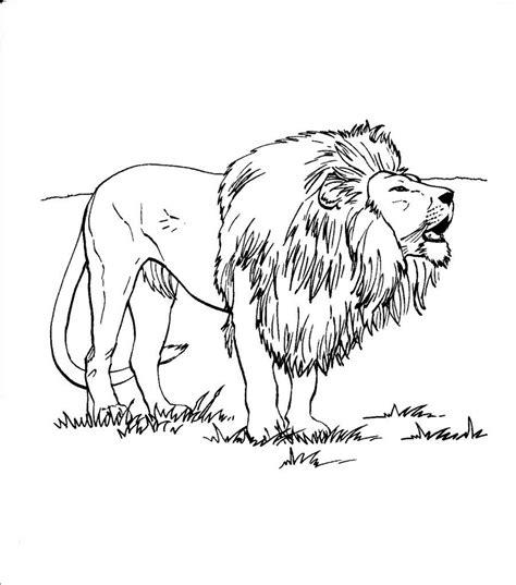 Dibujos para colorear de leones salvajes - Imagui: Dibujar Fácil, dibujos de Realista Animales, como dibujar Realista Animales para colorear e imprimir