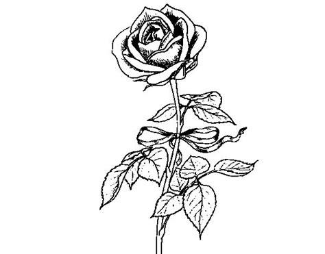 44 best images about Dibujos de Flores para colorear on: Aprende a Dibujar Fácil, dibujos de Rosa Realista, como dibujar Rosa Realista para colorear