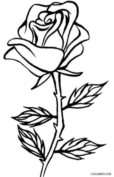 Dibujos de Rosas para colorear - Páginas para imprimir gratis: Dibujar Fácil, dibujos de Rosas, como dibujar Rosas para colorear