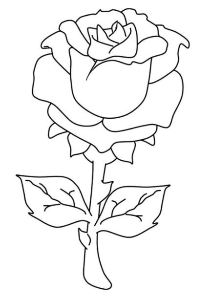 Dibujos de Una Rosa para Colorear. Pintar e Imprimir: Aprender como Dibujar Fácil con este Paso a Paso, dibujos de Rosas Azules, como dibujar Rosas Azules para colorear e imprimir