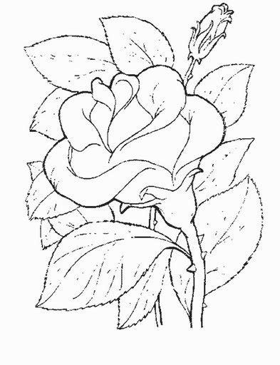 ROSA DE SANT JORDI PARA COLOREAR: Dibujar y Colorear Fácil con este Paso a Paso, dibujos de Rosas En 3D, como dibujar Rosas En 3D para colorear