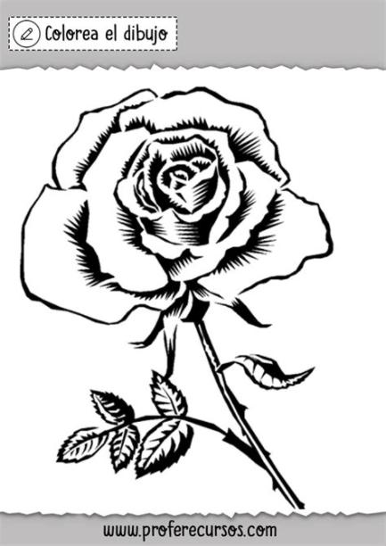 Dibujos de Rosas para Colorear | Láminas de Rosas: Aprende a Dibujar Fácil, dibujos de Rosas En Uñas, como dibujar Rosas En Uñas para colorear e imprimir