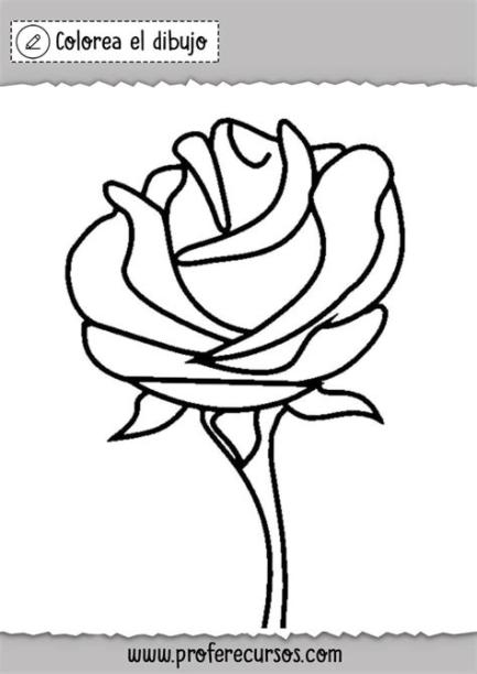 Dibujos de Rosas para Colorear | Láminas de Rosas: Dibujar y Colorear Fácil con este Paso a Paso, dibujos de Rosas En Uñas, como dibujar Rosas En Uñas paso a paso para colorear