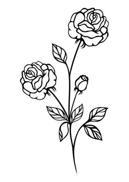 Dibujo para colorear rosas - Dibujos Para Imprimir Gratis: Aprender como Dibujar Fácil, dibujos de Rosas Pequeñas, como dibujar Rosas Pequeñas paso a paso para colorear