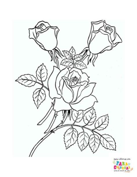 Dibujo de ramillete rosas bonito para colorear | Para: Dibujar y Colorear Fácil, dibujos de Rosases Y Bonitas, como dibujar Rosases Y Bonitas paso a paso para colorear