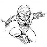 Dibujos de Spiderman para colorear - SPIDER-MAN: Aprender a Dibujar Fácil, dibujos de Superdeformed, como dibujar Superdeformed paso a paso para colorear