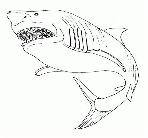 Tiburón (Animales) – Colorear dibujos gratis: Aprende como Dibujar y Colorear Fácil, dibujos de Tiburon, como dibujar Tiburon para colorear e imprimir