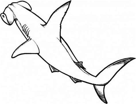 Dibujos para colorear: Tiburón martillo imprimible: Dibujar Fácil con este Paso a Paso, dibujos de Tiburon Martillo, como dibujar Tiburon Martillo para colorear e imprimir