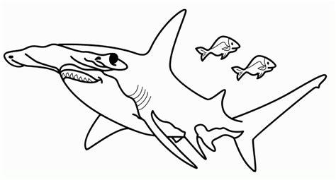 Dibujo de tiburon martillo para colorear - Imagui: Dibujar Fácil con este Paso a Paso, dibujos de Tiburon Martillo, como dibujar Tiburon Martillo para colorear