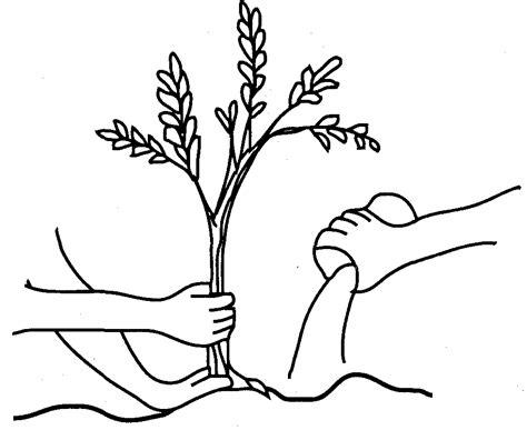 Dibujo de cuidar los arboles - Imagui: Aprende como Dibujar Fácil, dibujos de Tierra Del Suelo, como dibujar Tierra Del Suelo para colorear