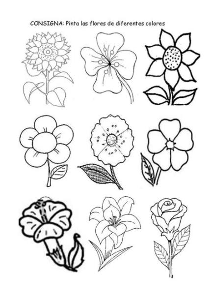 Tipos De Flores Para Dibujar Con Sus Nombres: Aprende a Dibujar y Colorear Fácil, dibujos de Tipos De Flores, como dibujar Tipos De Flores para colorear e imprimir