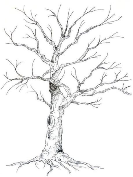 Pin by Ismail Hazzaz on Paintings | Tree drawing. Tree: Aprender a Dibujar y Colorear Fácil con este Paso a Paso, dibujos de Troncos De Arboles Realistas, como dibujar Troncos De Arboles Realistas paso a paso para colorear