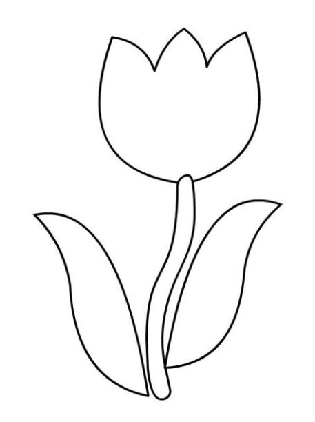Tulipán #13 (Naturaleza) – Páginas para colorear: Dibujar Fácil con este Paso a Paso, dibujos de Tulipanes, como dibujar Tulipanes para colorear