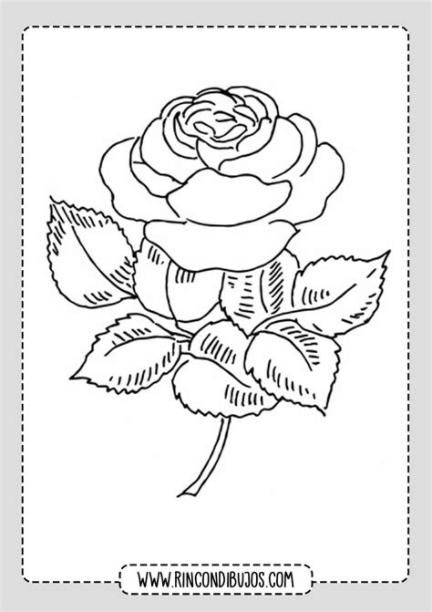 Dibujos de Rosas para colorear | Imprimir y Pintar Rosas: Aprende como Dibujar y Colorear Fácil, dibujos de Tutorial Una Rosa, como dibujar Tutorial Una Rosa paso a paso para colorear