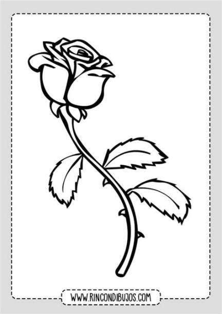Dibujos de Rosas para colorear | Imprimir y Pintar Rosas: Aprende como Dibujar y Colorear Fácil con este Paso a Paso, dibujos de Tutorial Una Rosa, como dibujar Tutorial Una Rosa para colorear