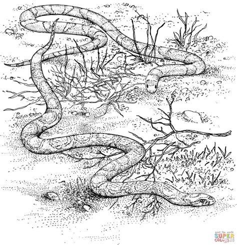 CULEBRA desierto dibujo - Buscar con Google | Snake: Dibujar y Colorear Fácil, dibujos de Un Adder, como dibujar Un Adder para colorear e imprimir