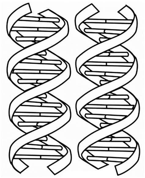 Images of DNA coloring pages | Páginas para colorear. Adn: Aprender como Dibujar y Colorear Fácil, dibujos de Un Adn, como dibujar Un Adn paso a paso para colorear