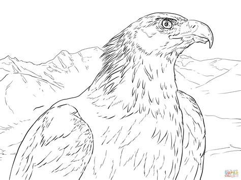 Dibujo de Retrato de un Águila Real para colorear: Aprende como Dibujar Fácil con este Paso a Paso, dibujos de Un Aguila Real, como dibujar Un Aguila Real para colorear e imprimir