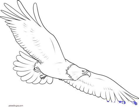 Dibujos de águilas para colorear: Aprender a Dibujar Fácil, dibujos de Un Aguila Volando, como dibujar Un Aguila Volando paso a paso para colorear