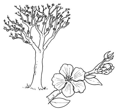 almond blossom | Almond blossom. Spring crafts. Blossom: Dibujar Fácil con este Paso a Paso, dibujos de Un Almendro, como dibujar Un Almendro paso a paso para colorear