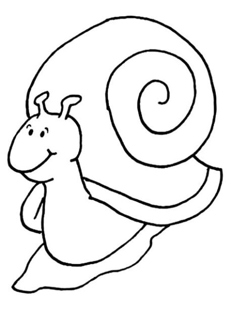 Gusano Animales Invertebrados Para Dibujar: Dibujar y Colorear Fácil con este Paso a Paso, dibujos de Un Anelido, como dibujar Un Anelido para colorear e imprimir