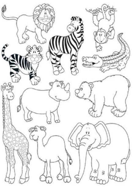 Animal Salvaje Para Colorear Para Niños | Dibujos De Lol: Dibujar y Colorear Fácil con este Paso a Paso, dibujos de Un Animal Para Niños, como dibujar Un Animal Para Niños paso a paso para colorear